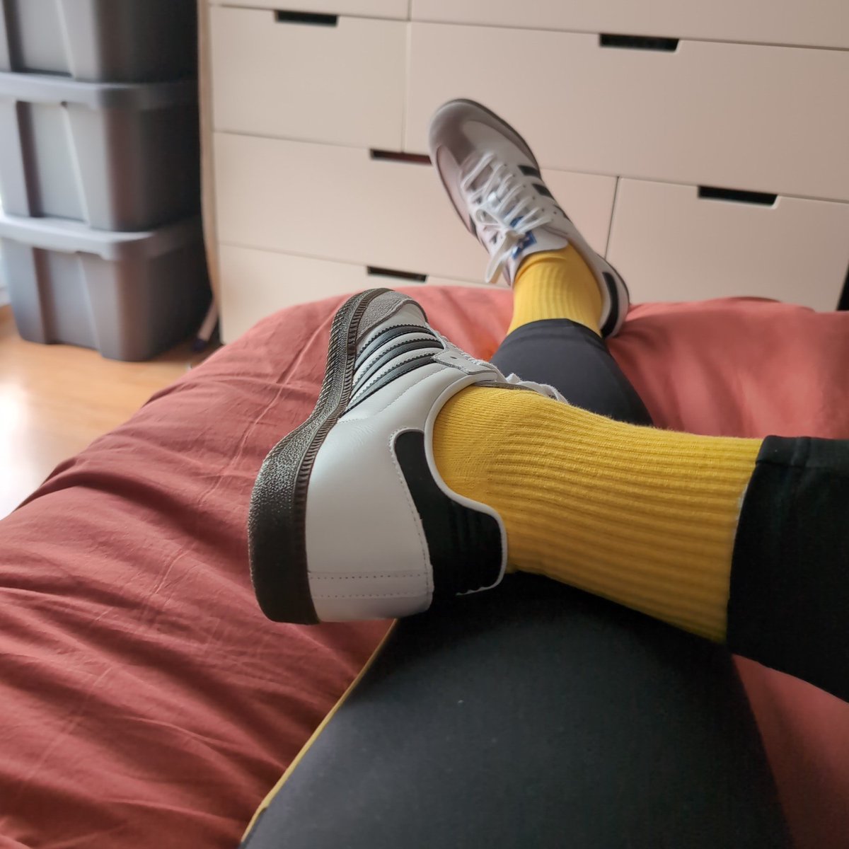 Thomas Meyer tweet media