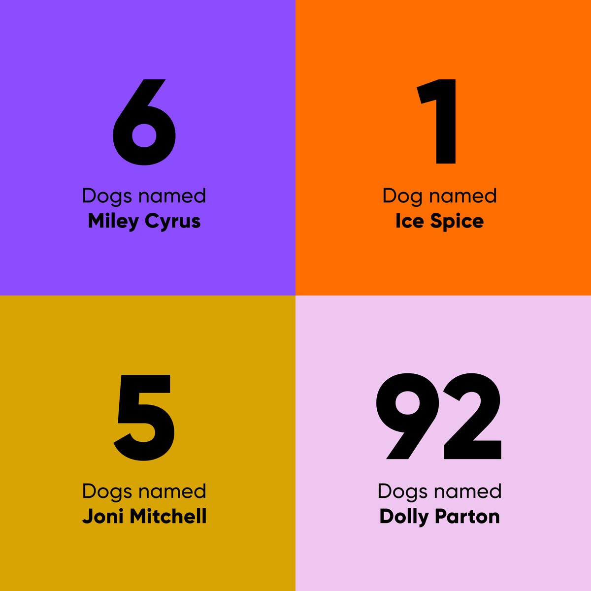 Watching the Grammys tonight? Check out how many Embarked dogs share their name with some VERY talented artists. 🎤🐕 Let's get the 'paw-ty' started! 🐾 #grammys2024 #dognames #GrammysNight #TaylorSwift #Rihanna #SZA #BillieEilish #MileyCyrus #IceSpice #JoniMitchell #DollyParton