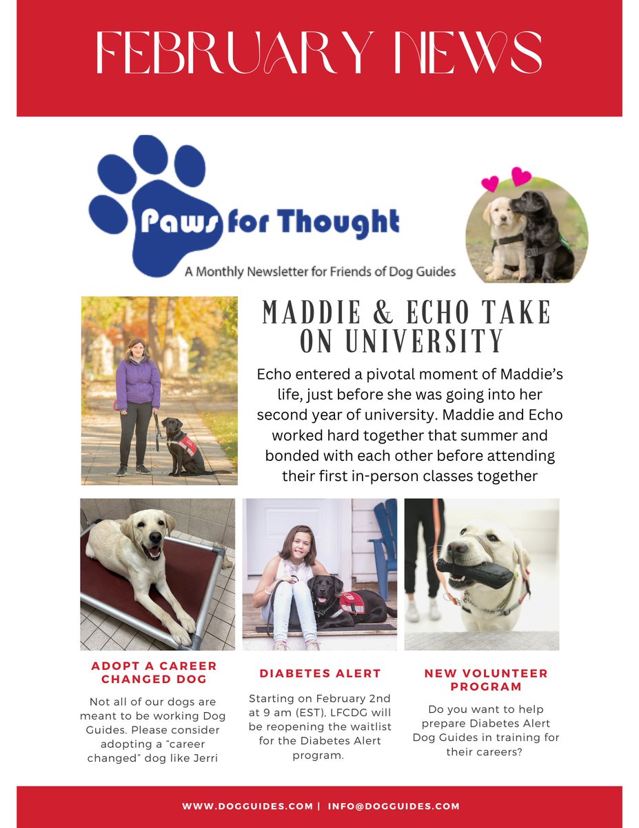 LFC Dog Guides tweet media