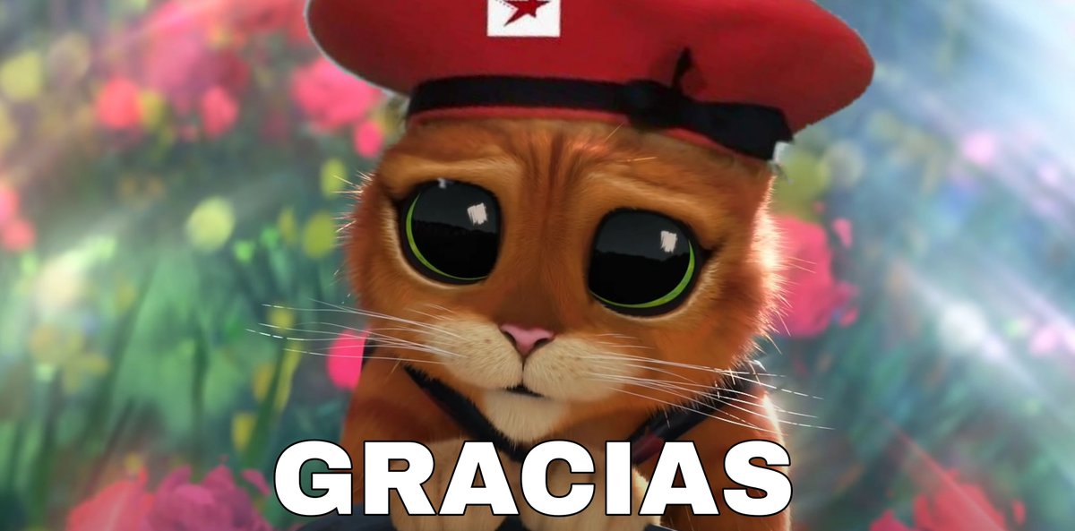 PedroInfanteSV's tweet photo. Todos: A manera de protesta vamos a votar por el más pendejo.

El Chinese Flowers: https://t.co/Hsu2CAsvdb