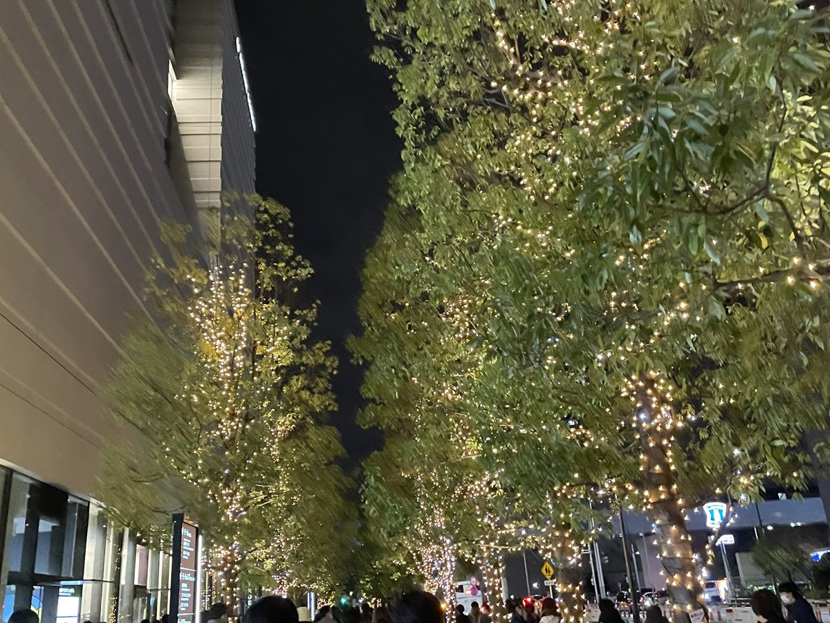 ちは ᷇ᵕ ᷆ tweet media