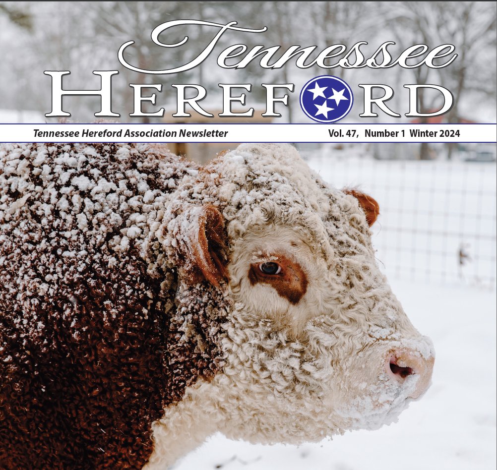 tnhereford's tweet photo. The Winter 2024 THA Newsletter is out now. Inside you'll find news and updates about the Tennessee Agribition, maximizing profit potential at consignment sales, and what's coming up for the TJHA in 2024. You can click below to read the newsletter online.

https://t.co/6EObBRdV2F https://t.co/mmLk8owy6L