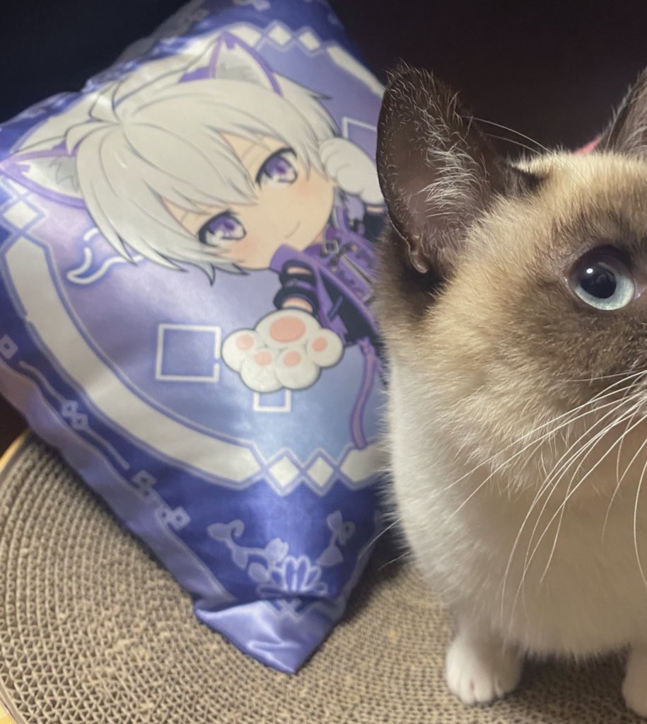 よしだ tweet media