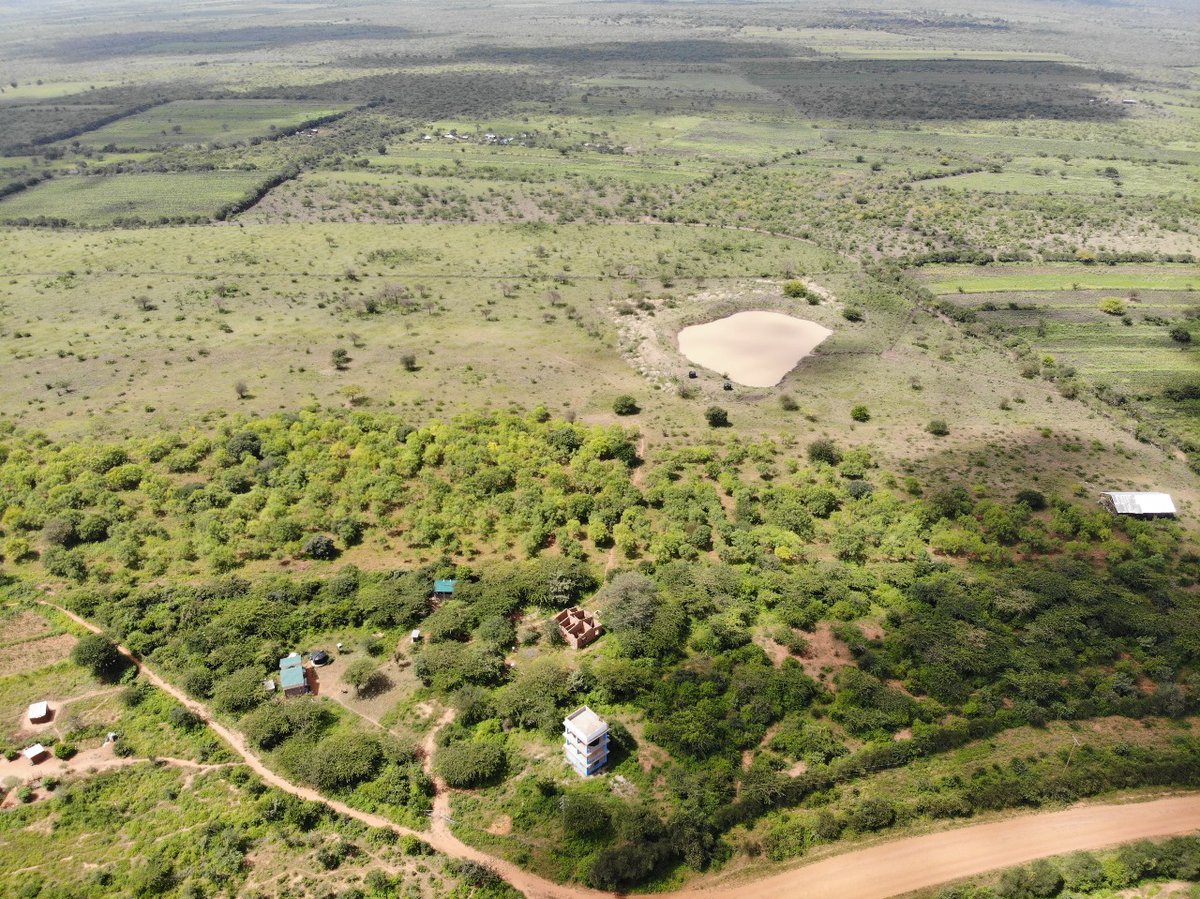 Africa Wood Grow (@africawoodgrow) on Twitter photo Kamutei farm 2019 and 2024 Kamutei farm 2019 and 2024