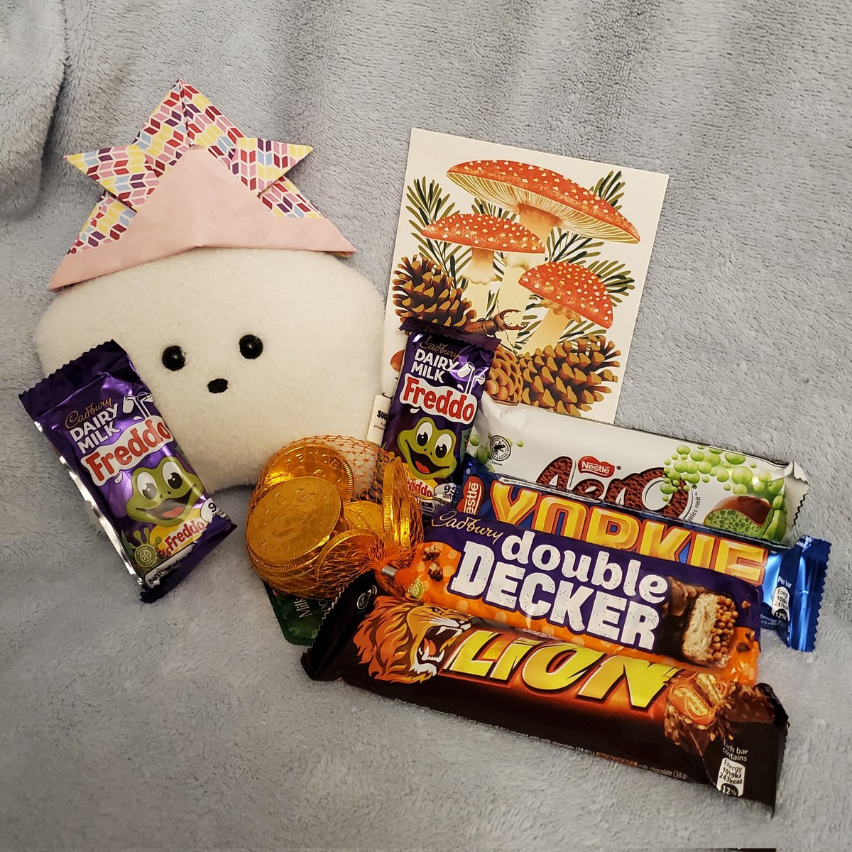 sucklet7's tweet photo. i forgot to share the images my human took of me with my christmas gifts from my best friend, crumb. (@jelly_ella_tea). i got a million treats and a lovely card. i have already eaten all the treats, even the doubloons. they were delicious.
#sucklet. #giftlet. #treatlet. https://t.co/fmbccVIULe