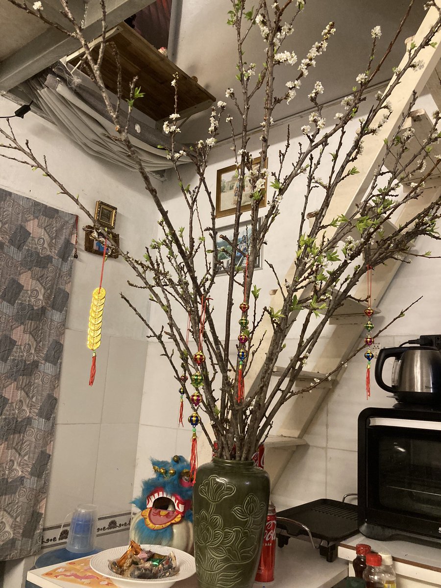 irl_nina's tweet photo. Tết https://t.co/XuRYiB4EA0