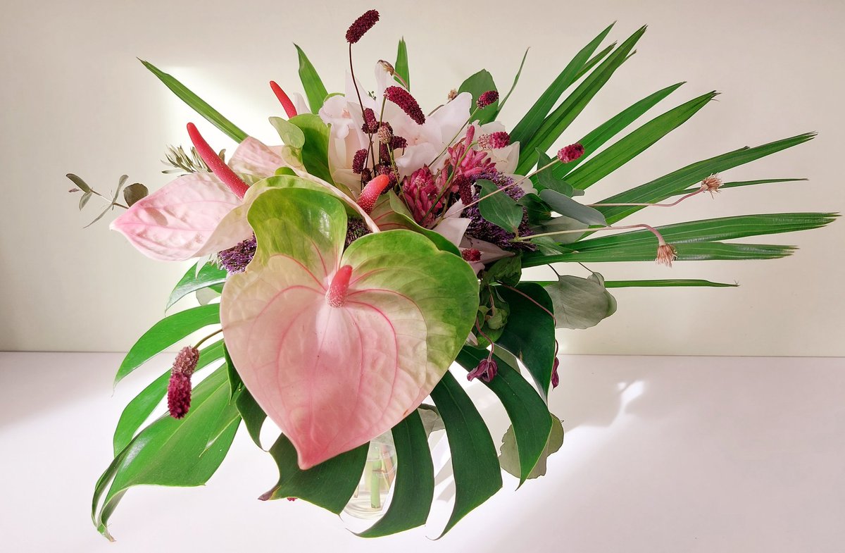 Fani dessinatrice tweet media