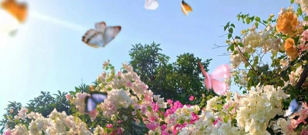 وعد🦋 tweet media
