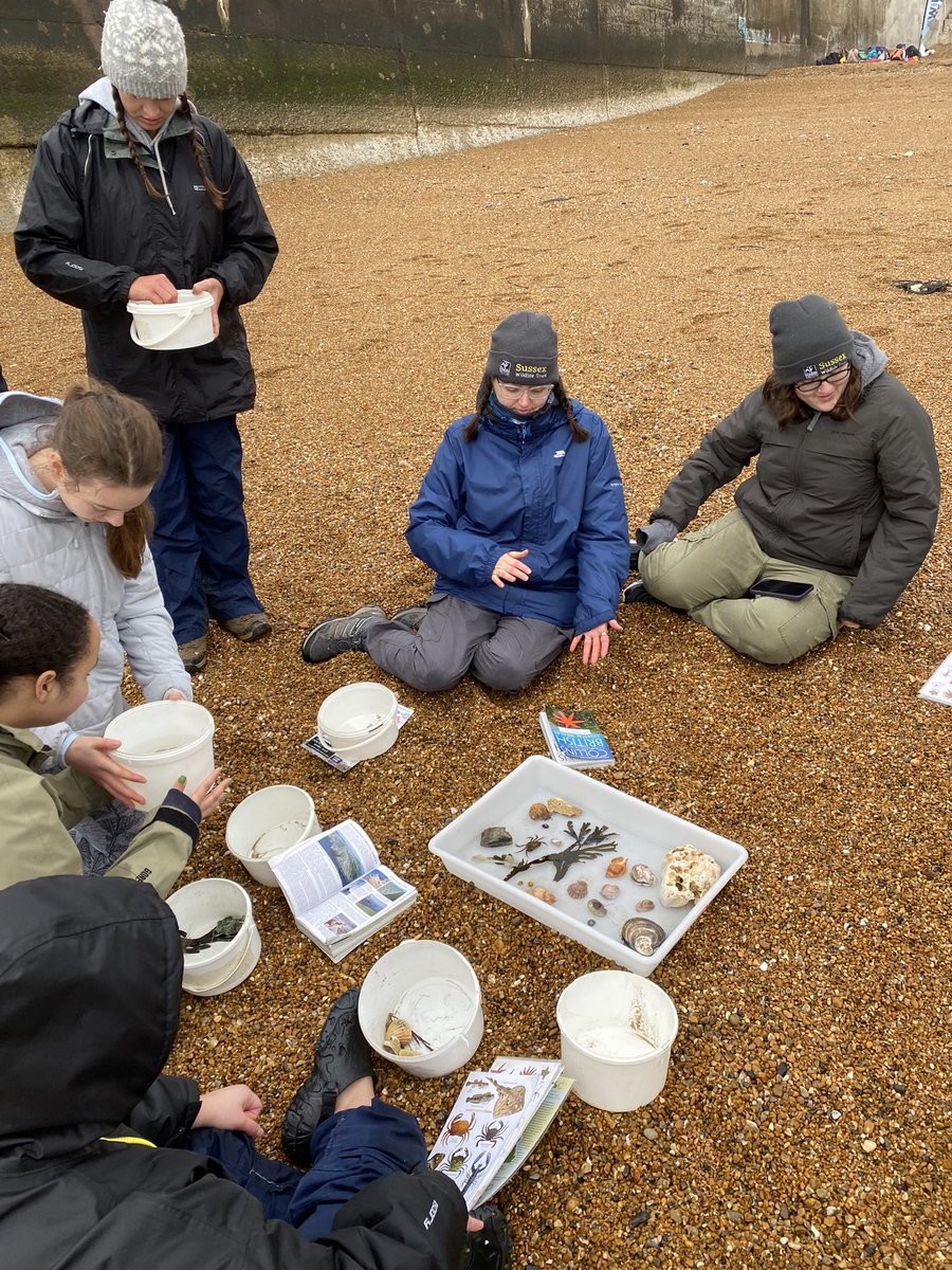 HollyEdwards___'s tweet photo. Rockpool ID and beach clean with Sussex Wildlife Trust this morning at Rottingdean Beach 🌊 @SussexWildlife @WildCoastSussex #beachclean #plasticfree https://t.co/5r33op1wIf