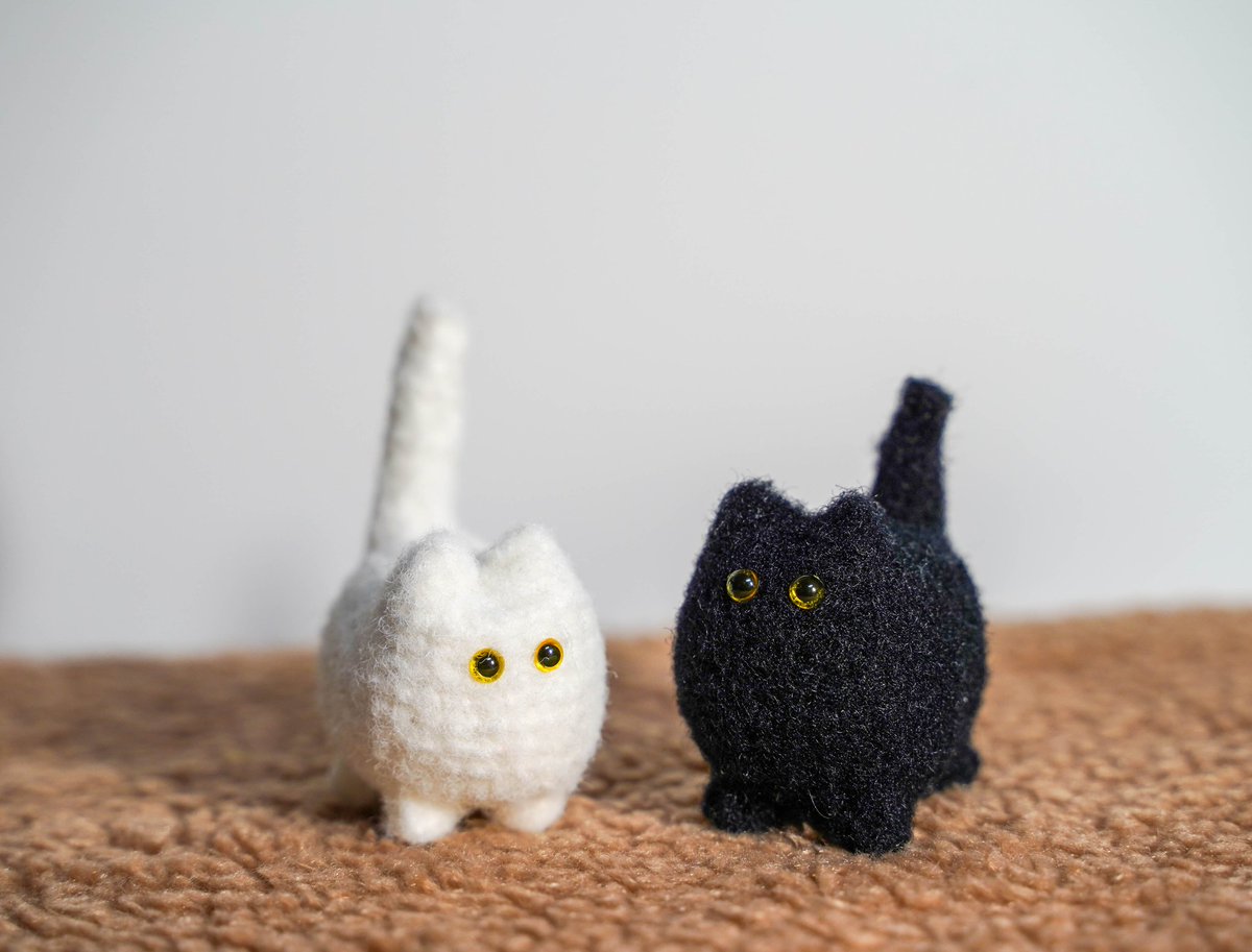 ✨️RT 이벤트✨️
검정고양이(일반실) 한마리 보내드려요

불꽃 포슬고양이(NEW)
뜨개인형 
판매폼 열었습니다 .｡.:*♡ 

💖폼내에 우밤이 무료나눔도 함께 진행합니다 
자세한 사항은 폼 확인해주세요

모든문의는 DM 부탁드립니다💌

🚩2월 7일  20시 30분 오픈

witchform.com/deposit_form.p…