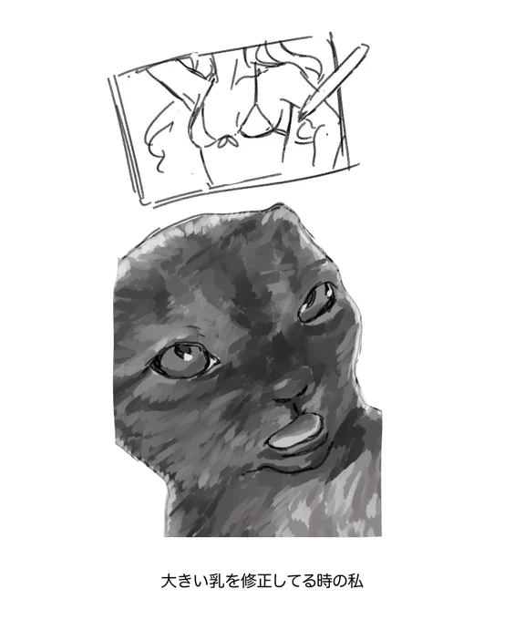 猫ミーム 