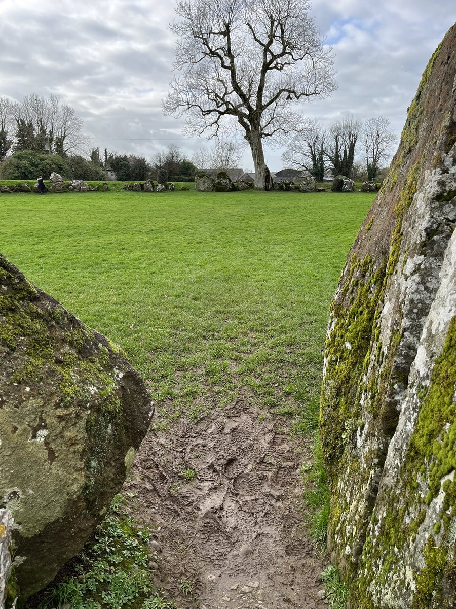 I had the most magical morning in @LoughGurVisit learning all about local Goddess Àine. She was a land Goddess that gave her name to Knockainey and so many other local place names. We then visited the Grange stone circle to celebrate Brigid 🌕 ☀️ #Limerick