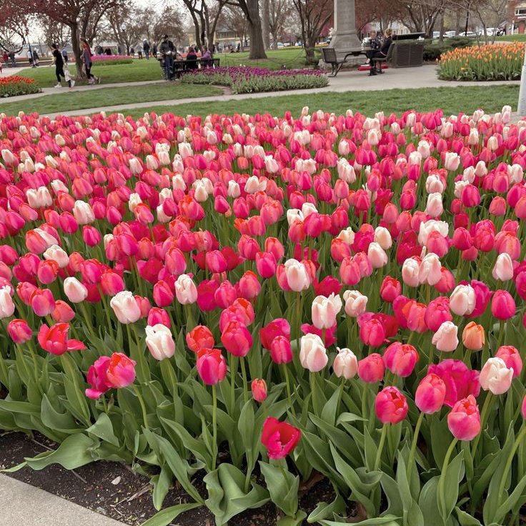 TTPD 19/4 tweet media