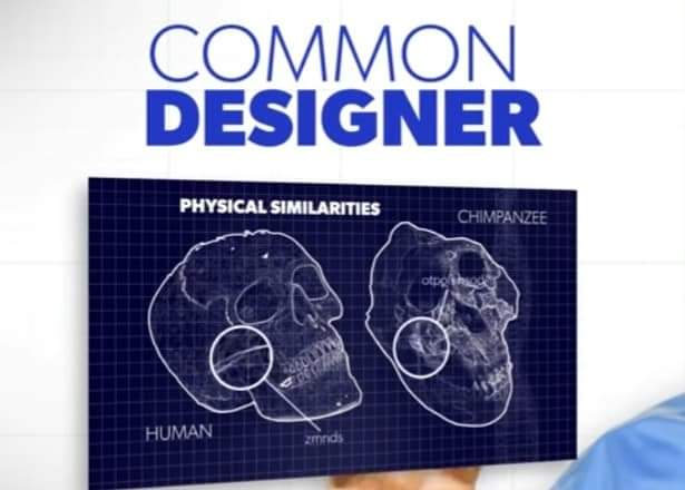 RatroutaTBF's tweet image. In fact similarity does not prove #evolution at all. You could see things that are similar, and you would realize that those similarities are often caused by a #commondesigner.