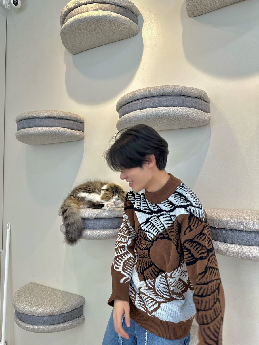 mintnk_'s tweet photo. แมวอู้งาน ไม่เอนเตอเทนเลย https://t.co/Mtafjwiz1M