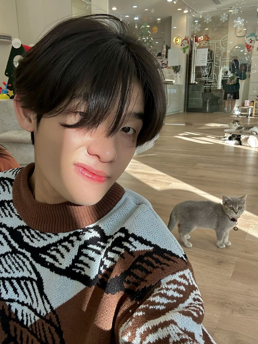 mintnk_'s tweet photo. แมวอู้งาน ไม่เอนเตอเทนเลย https://t.co/Mtafjwiz1M
