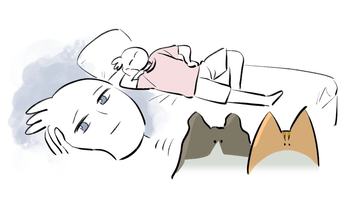 挟まりチャンス #秀さんちのゆるねこ日記 