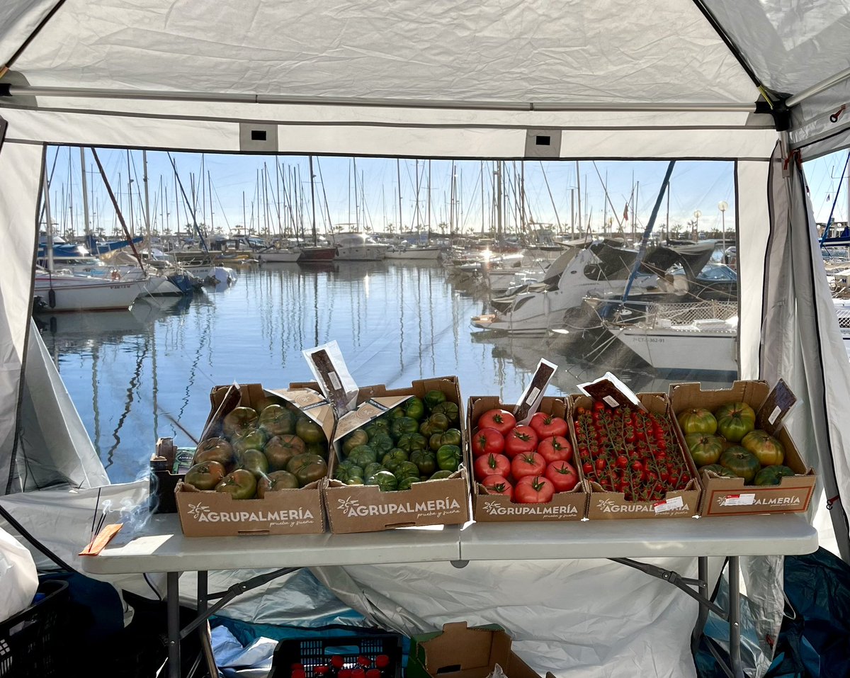 ____Belen__'s tweet photo. A ver cómo le explicamos a esta indeseable que es imposible resistirse a un #tomate aliñao de #Almería @RoyalSegolene 
#LaHuertaDeJosefa https://t.co/mXpkeYVwGZ