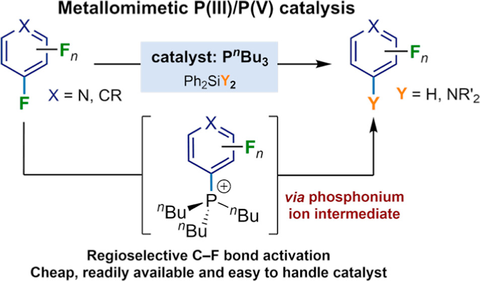 J. Am. Chem. Soc. (@j_a_c_s) on Twitter photo 📈 Read one of our most read #OpenAccess articles from January, "Metallomimetic C–F Activation Catalysis by Simple Phosphines". <a href="/a_simonneau/">Antoine Simonneau</a> <a href="/LynamChemistry/">Jason Lynam</a> <a href="/NTeam_SMAc/">Small Molecules Activation</a>
Read the full article ➡️ go.acs.org/7UC 📈 Read one of our most read #OpenAccess articles from January, "Metallomimetic C–F Activation Catalysis by Simple Phosphines". <a href="/a_simonneau/">Antoine Simonneau</a> <a href="/LynamChemistry/">Jason Lynam</a> <a href="/NTeam_SMAc/">Small Molecules Activation</a>
Read the full article ➡️ go.acs.org/7UC