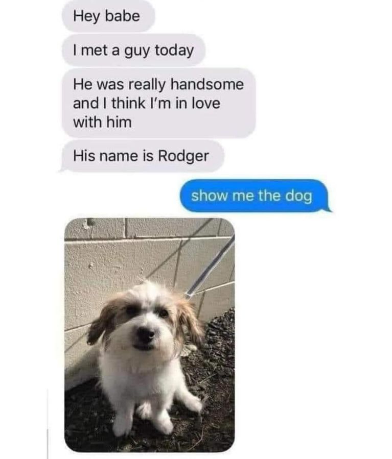 WholesomeMemes tweet media