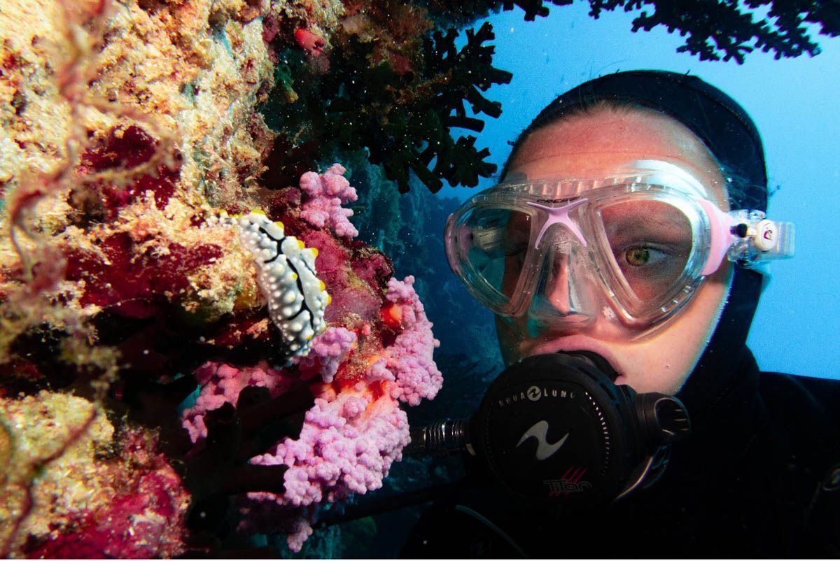 TheScubaNews's tweet photo. Dive with confidence! 🤿 Discover essential tips on safely scuba diving with glasses or contact lenses. Clear vision meets underwater adventure. See clearly, dive safely! 💦 #ScubaSafety #UnderwaterVision 🤿 👀 👉 https://t.co/WBLwMvXO72 https://t.co/GV4pzS8RqN
