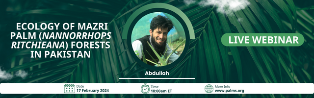 Abdullah (@abdullahpalms1) on Twitter photo We are happy to invite you for a live webinar on the Ecology of Mazri Palm (Nannorrhops ritchieana) forests in Pakistan. Organized by <a href="/IPS_PalmSociety/">International Palm Society</a>, this event promises to be an enlightening journey into the ecological significance of Mazri Palm forests. We are happy to invite you for a live webinar on the Ecology of Mazri Palm (Nannorrhops ritchieana) forests in Pakistan. Organized by <a href="/IPS_PalmSociety/">International Palm Society</a>, this event promises to be an enlightening journey into the ecological significance of Mazri Palm forests.