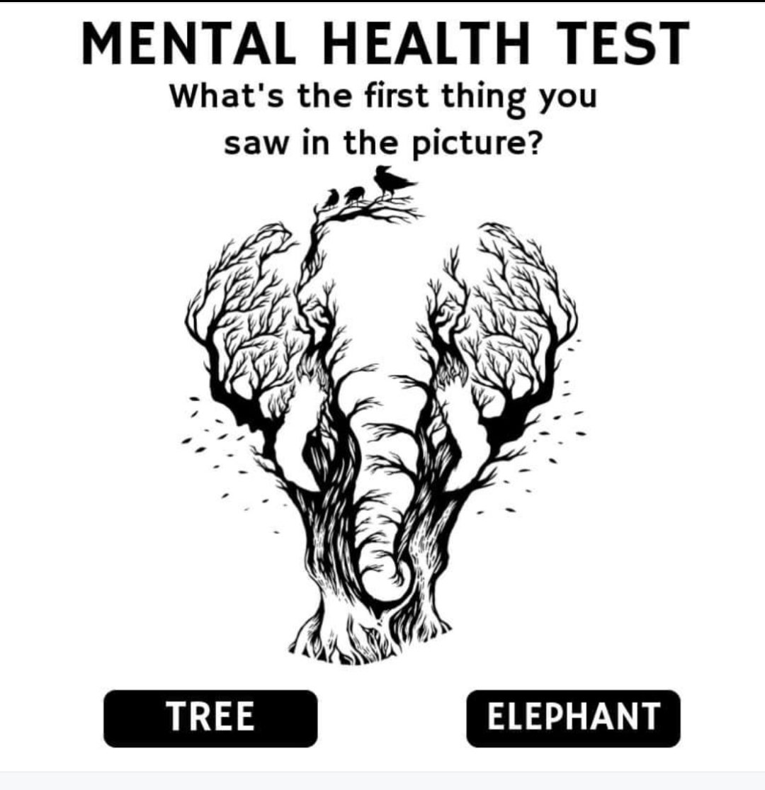 Rajsir_patna's tweet photo. What do you guys see first: Tree/Elephant? https://t.co/wBpT1TsxME
