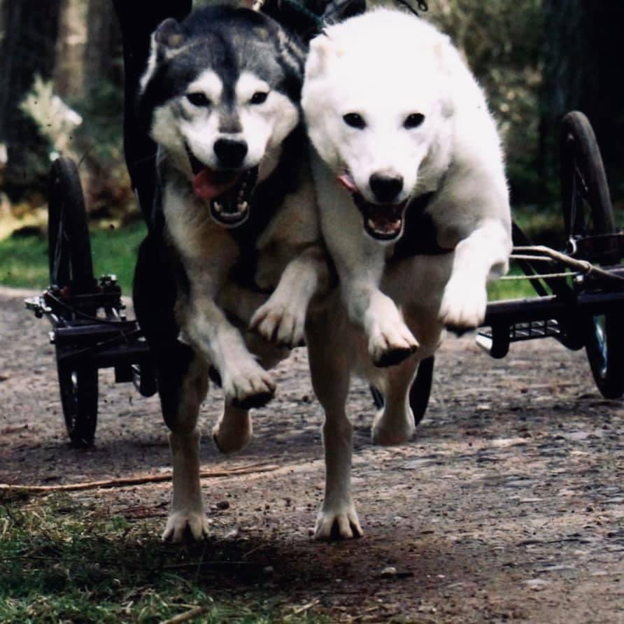 Adrian Tilsed tweet media