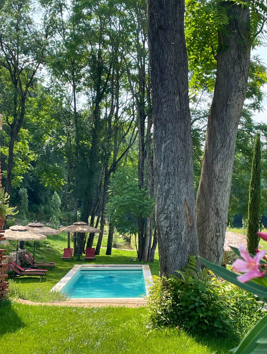 A 2 km du centre historique d’Albi, au coeur d’un vaste parc arboré dominant le Tarn, le Château du Gô est la maison natale du grand navigateur Laperouse. Il dispose de 3 chambres d'hôtes de charme

> sudissimo.com/maison-d-hote/…

<a href="/Tourisme_Albi/">Destination Albi</a> @TourismeTarn #chateau #TARN