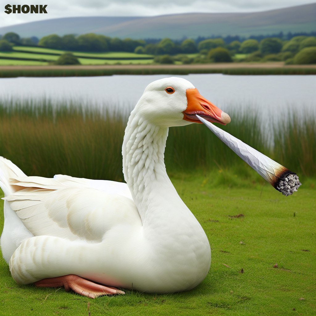 honk_sol's tweet photo. It's Sunday, and $HONK is calmly getting ready for another exciting week!

Chill, shill, and enjoy the show. 🪿

#SOL #SOLANA #HONK #BONK $BONK #GOOSE https://t.co/CptAQ4MZeR