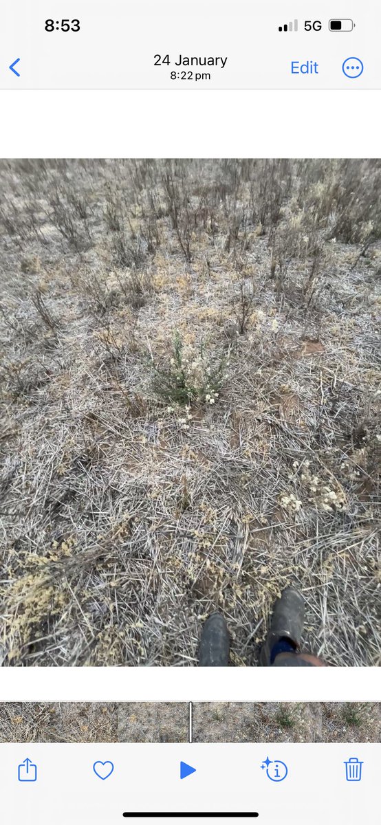 Michael Brougham tweet media