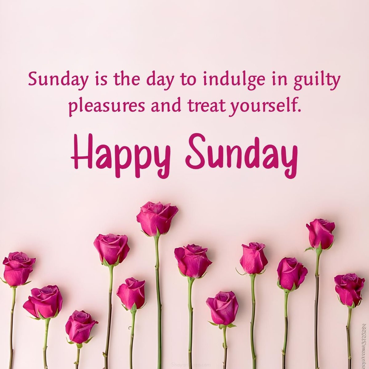Argo_City's tweet photo. Plans for today at all? Perhaps a little online retail therapy to start your day off? Or a relaxing day in front of the TV? Whatever your plans are, have a great day from all the team at Argo #localbusiness #carlightbulbs #carbulbs #bulbsforyourcar #discountprices #argocityltd https://t.co/GWgtTg9EUK