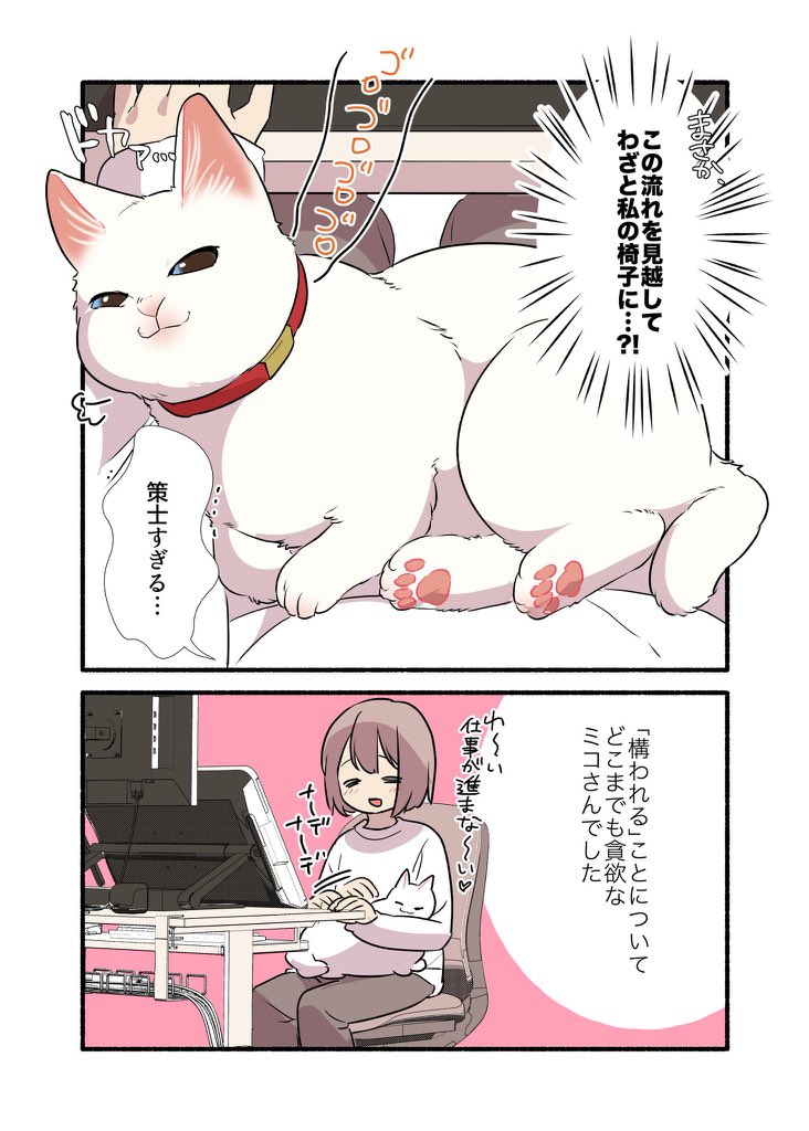 猫に全てを【理解(わか)】られている話 (2/2) #漫画が読めるハッシュタグ #愛されたがりの白猫ミコさん