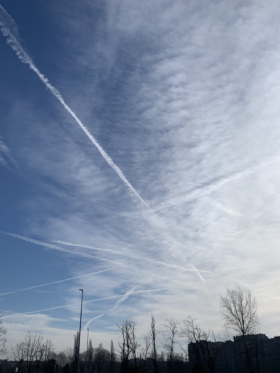 Luisa 🇮🇹🇮🇹❤️🖤🐶🐾 tweet media