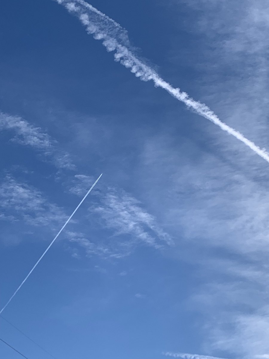 Luisa 🇮🇹🇮🇹❤️🖤🐶🐾 tweet media