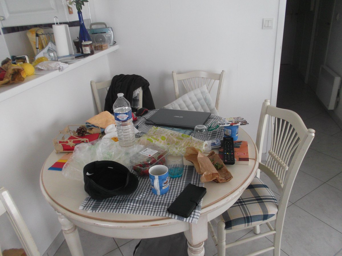 die wohlbehütete Hauskatze