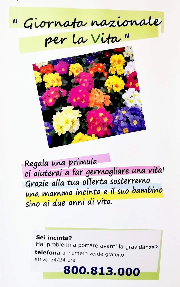 OkRadioliberta's tweet photo. #vita #GiornataNazionale #Movimentoperlavita #Chiesaitaliana #prolife #aborto #dignitàumana #denatalità #SOSvita #DOmenica #nascite #primule https://t.co/SGxvvfw0BU