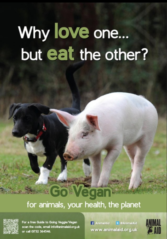 veganfuture's tweet image. Love all animals. #GoVegan