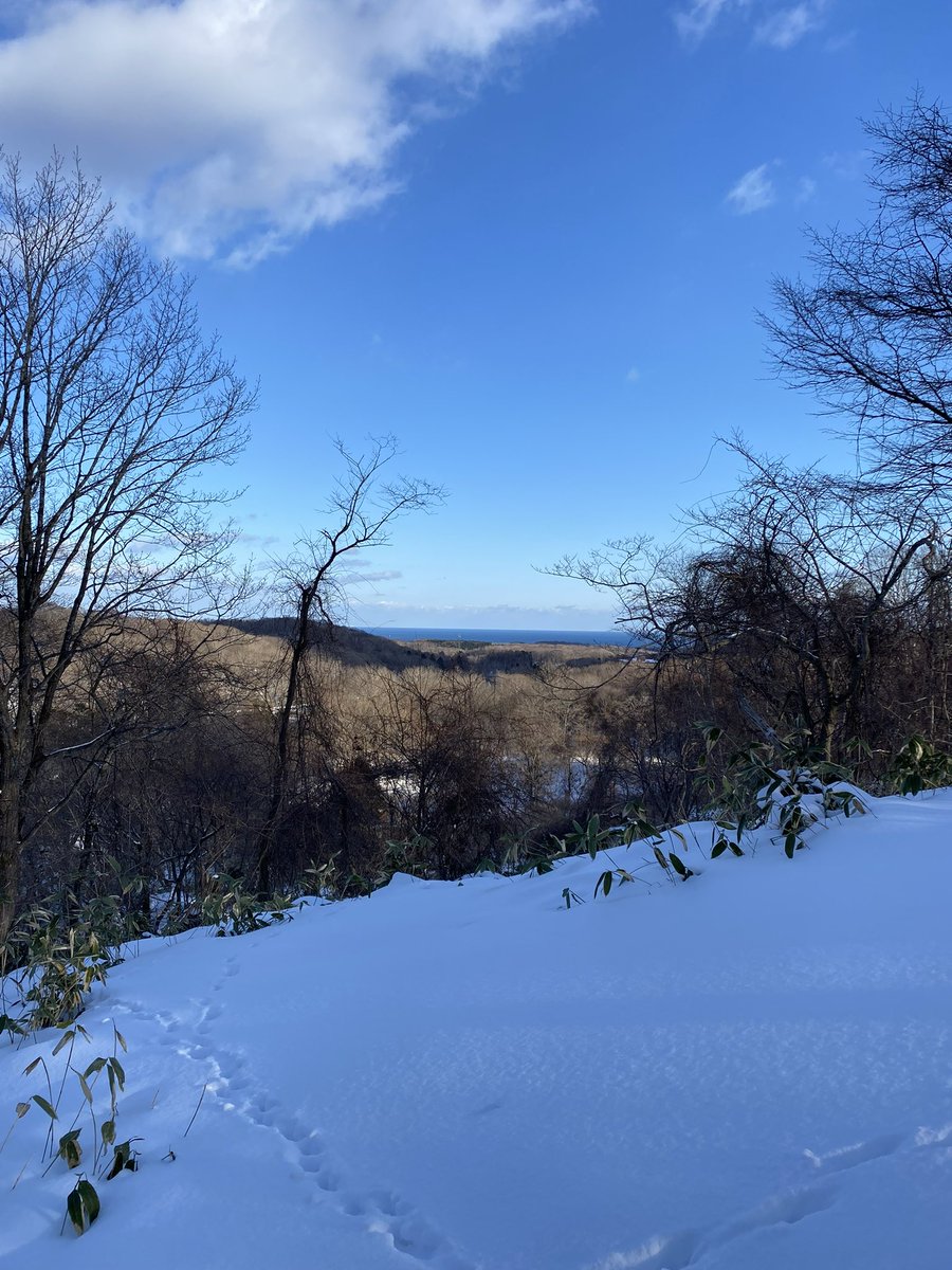 adexnoboribetsu's tweet photo. Today we had a lovely snowshoe tour through adex forest. We could see the sea and saw some squirrel tracks! 🐿️
https://t.co/A9oWRKAZyH
#adexbase #adexnoboribetsu #hokkaido #hokkaidotrip #hokkaido_lovers #japantravel #japantravelphoto #japan #tour #北海道 #登別 #イマソラ #雪 https://t.co/C6ybjD83hn