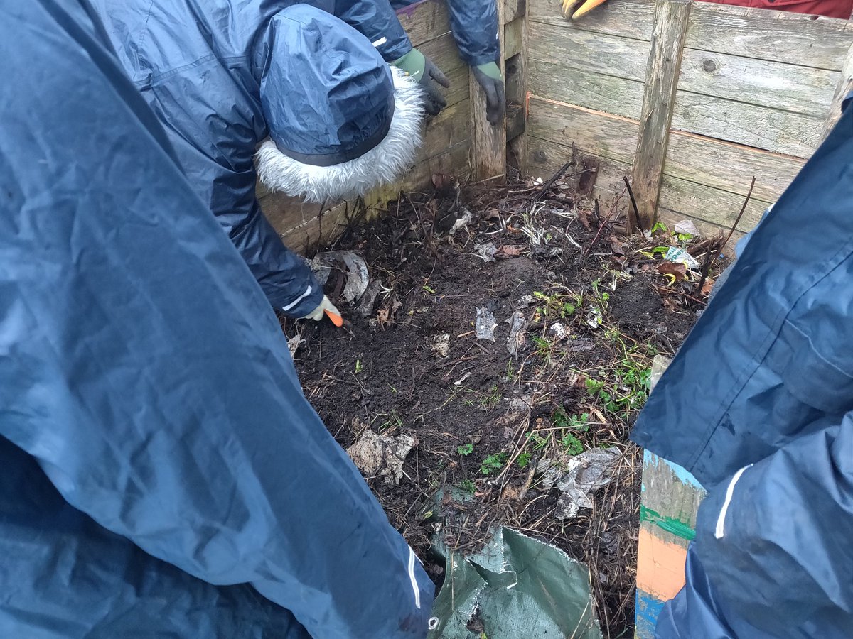 silverhaar1's tweet photo. Winter prepping for Spring @woodside_school 😊
The Gardening Group with support from @UK_Treescapes has been clearing out the compost bin in preparation for a new initiative - weekly class + dining room compostable gatherings to create beautiful, rich soil for veg growing 😊 https://t.co/5zeaHgAO2O
