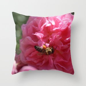 TaicheTees's tweet photo. Honey Bee Collecting Pollen On A Pink Rose #AcrylicBox #taiche #Society6 #honeybee #pinkroses #roses #flowers #rose #pink #flower #nature #pinkflowers #flowerphotography #love #pinkrose #photography #naturephotography #roselover #gardening #rosegarden https://t.co/BlP7ervJ60 https://t.co/BB8ubkCc0Q