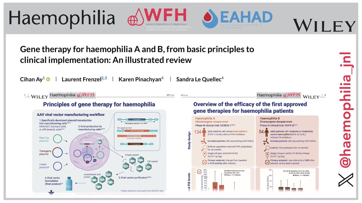 Explore #genetherapy 🧬 for #haemophilia from A to Z with this comprehensive illustrated review by @Cihan_Ay_MD et al., available #OpenAccess 🟢 in @haemophilia_jnl 👉buff.ly/3UobP5N
