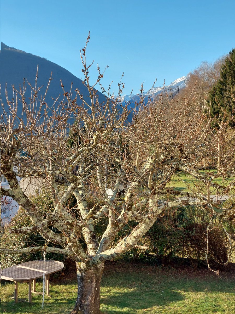 Je plussoie ! On a de beaux paysages et un grand soleil même en février ! Et je ne dis pas ça parce que j'y ai grandi ! #hautespyrenees