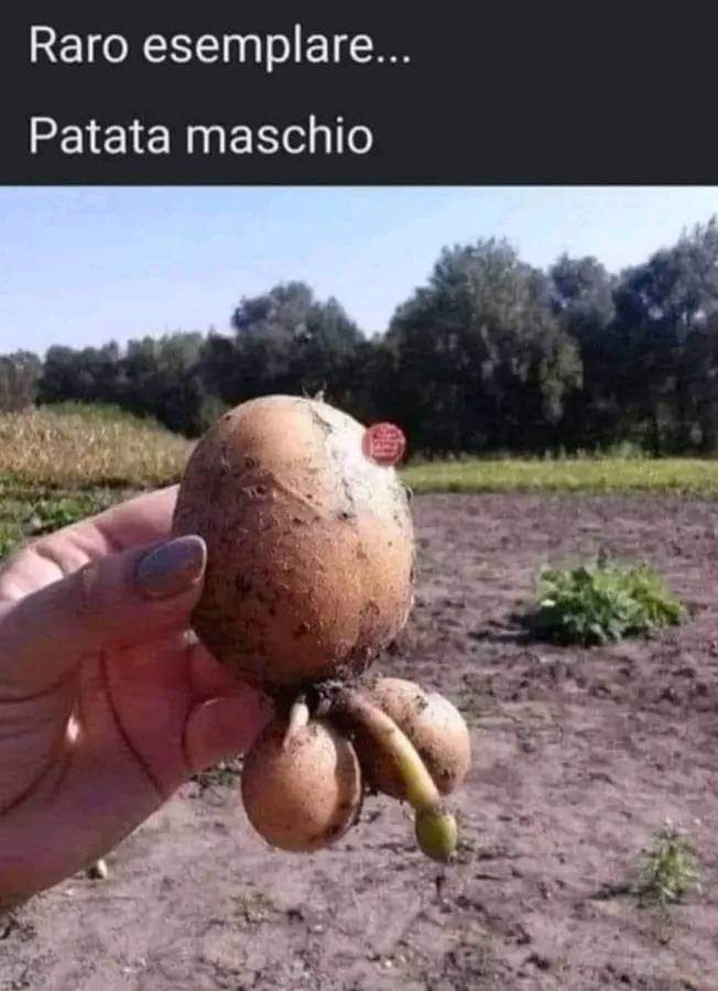 Veramente raro