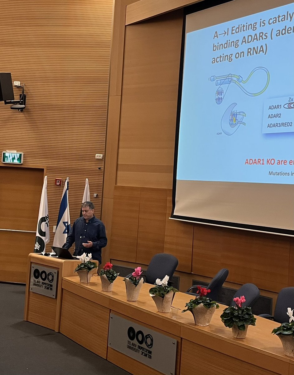 DfmLab's tweet photo. Wrapping up a great World Cancer Day meeting with fantastic talks from Prof. Batsheva Kerem, Prof Yuval Dor, Dr. Ofrat Beyar Katz, @LevanonLab and Prof. Rina Rosin-Arbesfeld @TelAvivUni https://t.co/l8wRPLuZfV