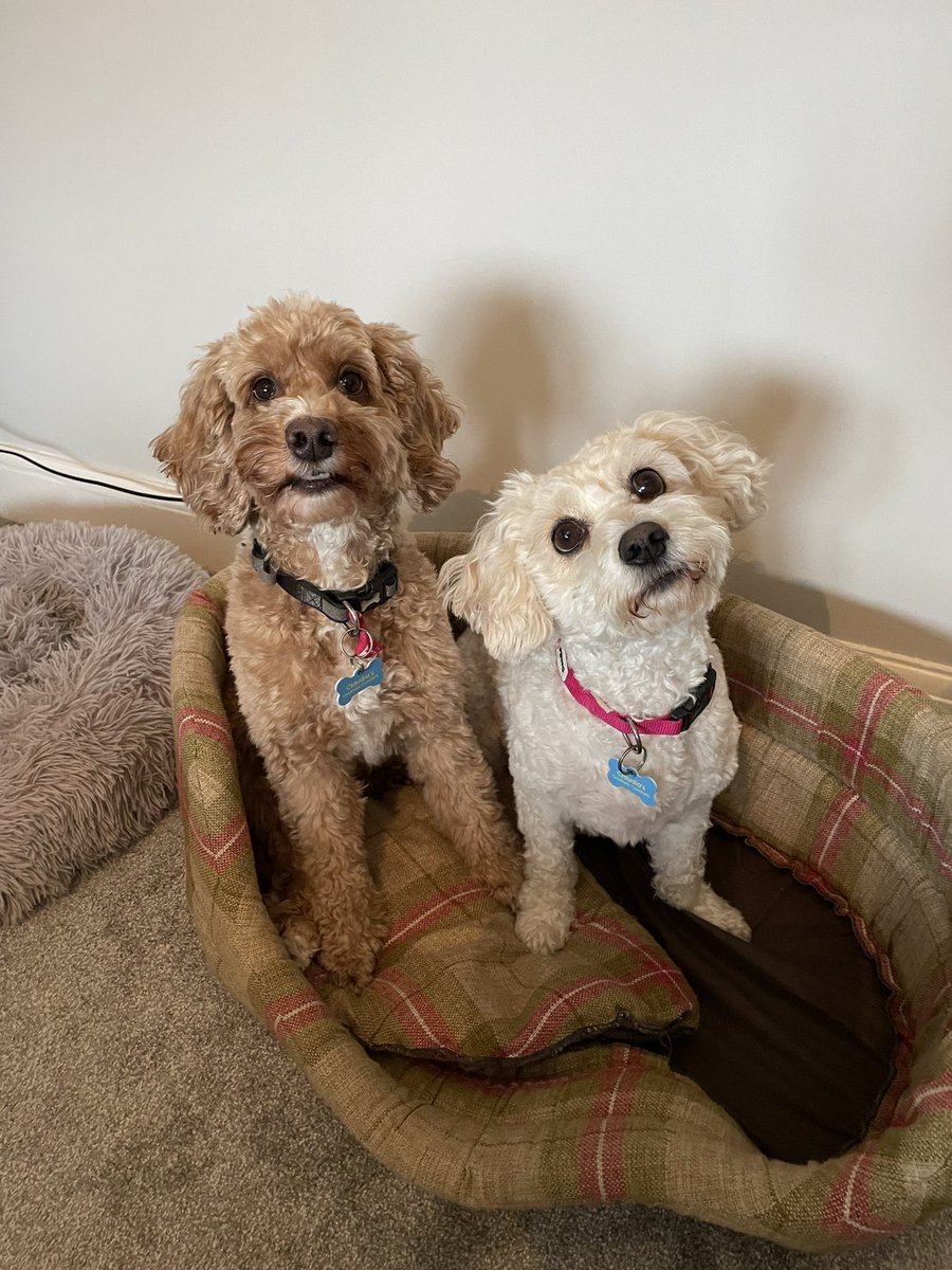 Claudia Money tweet media