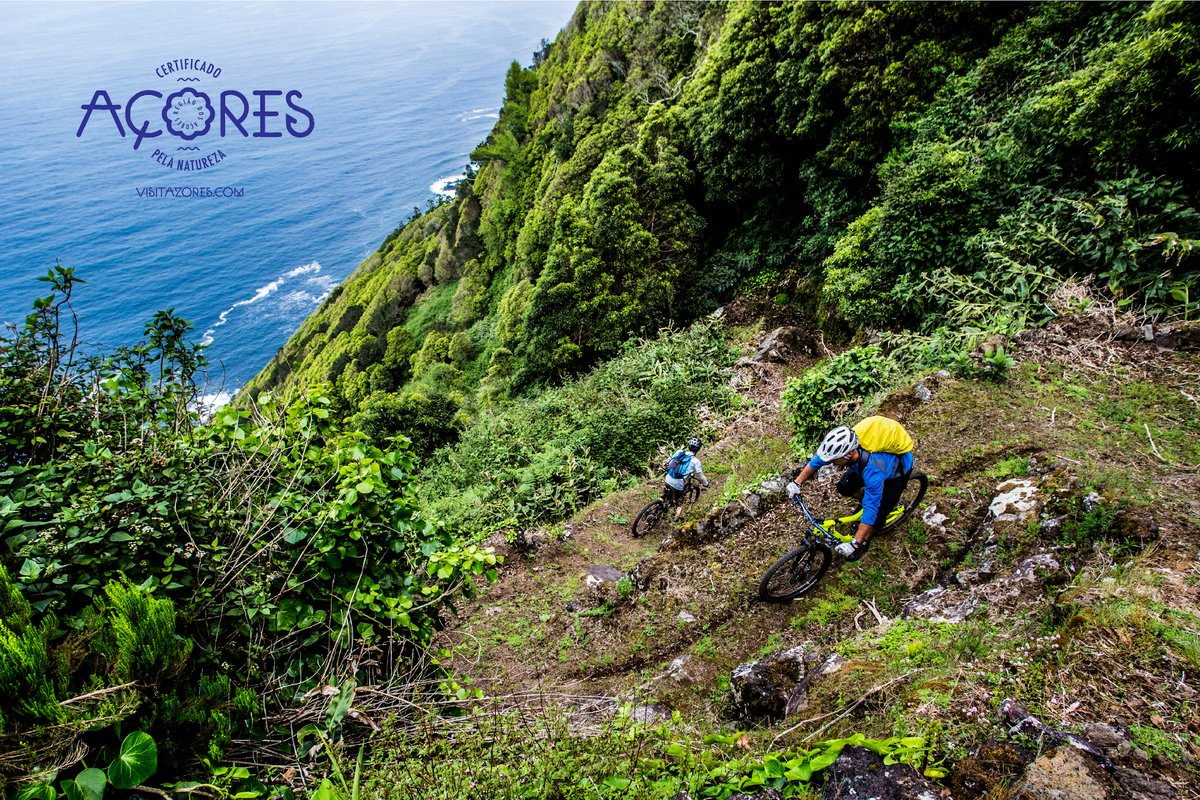 Visit Azores tweet media