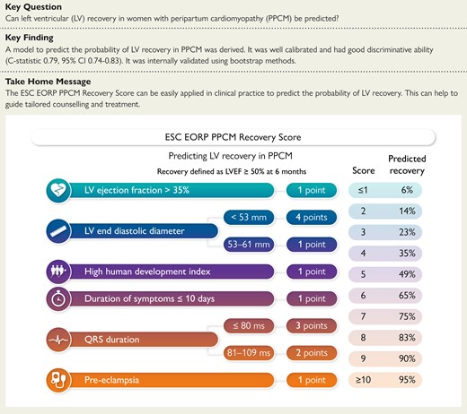 How to use The ESC EORP PPCM Recovery Score to predict the probability of left ventricular recovery in women with peripartum cardiomyopathy!

#women #health #peripartum #cardiovascular #disease #heart  #failure #cardiotwitter #EHJ @ESC_journals <a href="/escardio/">European Society of Cardiology</a>

ow.ly/GFkf50QwNrB