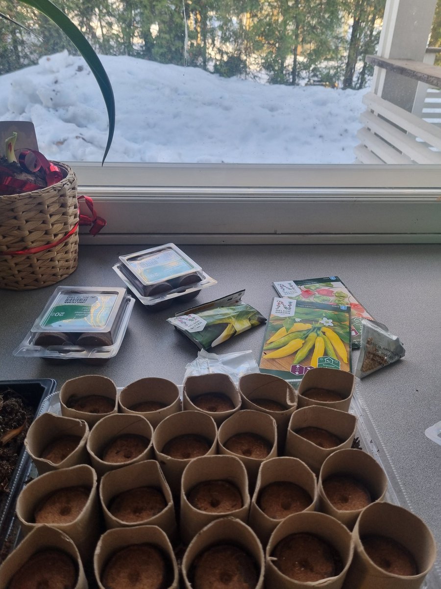 Kevättä rinnassa, kauden avaus puutarha #martta lla