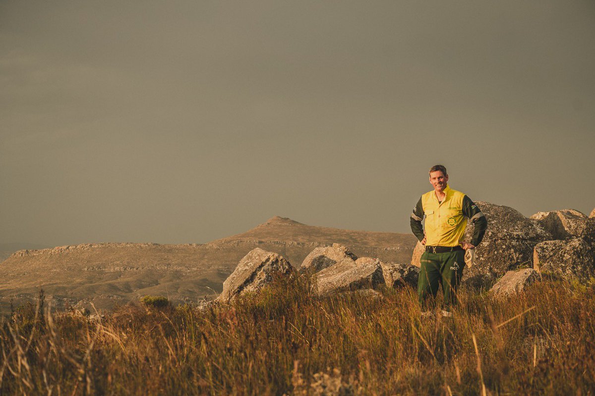 NCC Wildfires tweet media